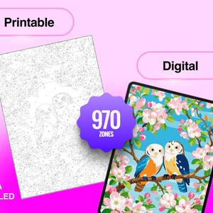 May include: A digital paint-by-number set featuring two owls perched on a flowering branch. The image includes a black and white printable outline and a finished color version, both labeled with the text 970 ZONES, Printable, Digital, and EXTRA DETAILED.