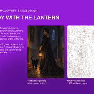 May include: A paint-by-numbers kit titled LADY WITH THE LANTERN, featuring a finished painting of a person in a black gown holding a glowing lantern with a black cat, alongside a white outline template with 1,162 numbered zones for painting.