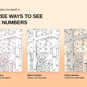 May include: A digital graphic displaying three ways to see numbers in a paint-by-number file. The text reads: ONLY WHEN YOU WANT IT, THREE WAYS TO SEE THE NUMBERS. The three panels show red numbers, black numbers, and a color preview with faint hints.
