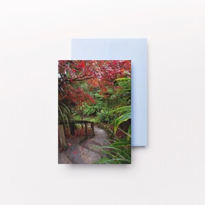 Fotografías de pasarelas de arce japonés rojo / Tarjetas de felicitación con fotos, tarjetas de cumpleaños, tarjetas de felicitación de jardín, Cornualles, estilo de vida de Falmouth, amantes de los jardines