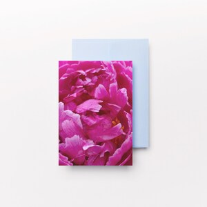 Ritratto di fiore di peonia rosa Fotografia / Biglietti di auguri fotografici, Biglietti di compleanno, Biglietti di auguri floreali, Primavera, Estate, Amante dei fiori, Compleanno