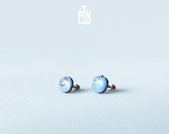 Blueberry Fruit Earrings - Tiny Food Stud Earrings miniature food - Funny Summer Jewelry - Mismatched Earrings