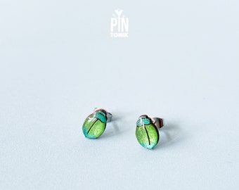 Blue Tansy Earrings - Milkweed Beetle Stud Earrings - Bug Insect Jewelry
