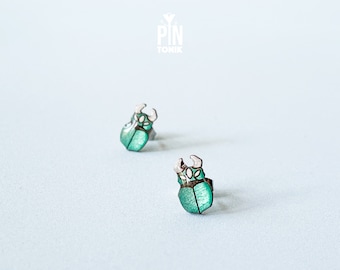 Stag Beetle Insect Stud Earrings