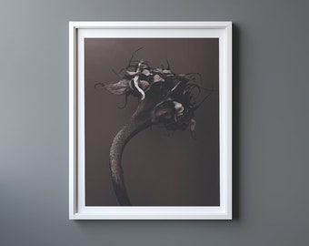 Abstract Minimal Flower Print, Flower Photo Wall Art - Dried Sunflower