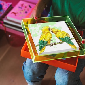 Birds of Paradise &#39;Yellow parrots&#39; in (Neon) Colored Acrylic Frame