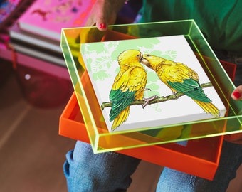 Birds of Paradise &#39;Yellow parrots&#39; in (Neon) Colored Acrylic Frame