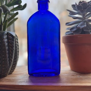 May include: A cobalt blue glass bottle with a rectangular body and a narrow neck. The bottle is empty and sits on a wooden surface, flanked by potted plants. The bottle's vibrant color contrasts with the natural tones of the surroundings.