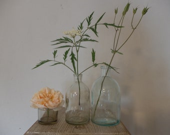 Set Di 6 Vasi In Vetro Piccoli Per Fiori - Bottiglie Decorative Rustiche Per Centrotavola, Matrimoni, Casa E Ufficio (Altezza 8,9 Cm)
