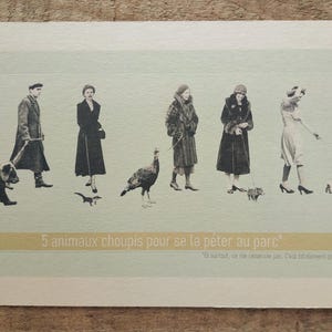 Carte, affiche, "5 animaux choupis pour se la péter au parc", style vintage, rétro, humour, 13x18cm, Tata Spag