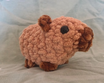 Carlos the Capybara