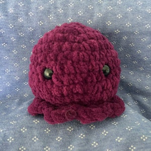 Ollie de octopus