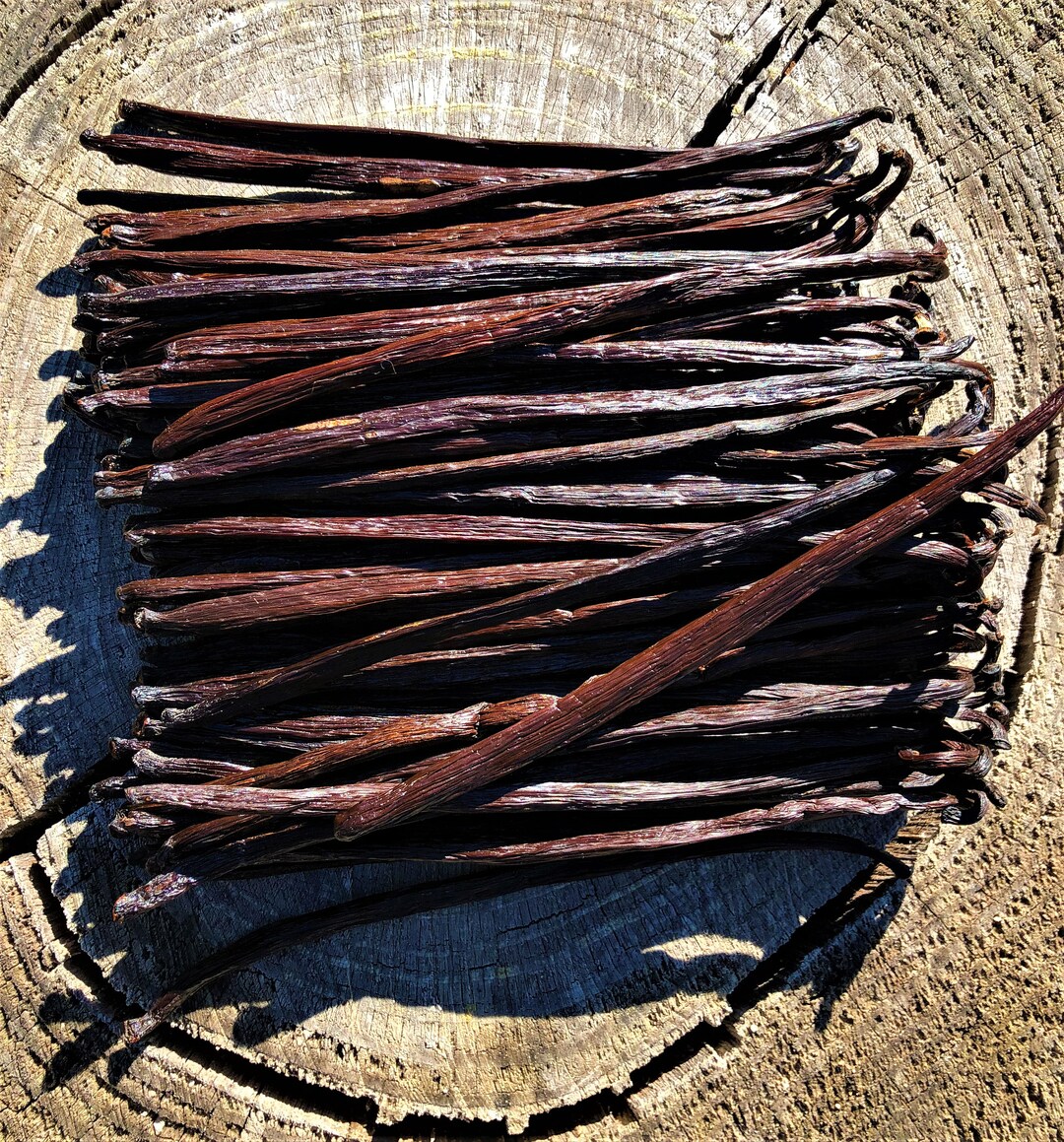 Java Vanila Vanilla Pods From Indonesia 18cm JAVA Variety - Etsy