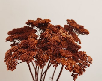 10 stems orange Dried Yarrow Bunch, dried yarrow, golden yellow  flowers,Wedding dry flower decoration