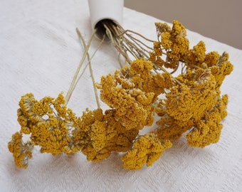 Achillea Parker, chrysanthème séché jaune naturel 5 tiges, bouquet d'achillée millefeuille séchée, achillée millefeuille séchée, art floral sec