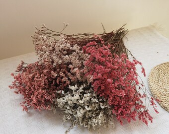 Caspia Limonium Lovergrass conservada, ramas de hierba seca, arreglo floral seco, flor seca de boda