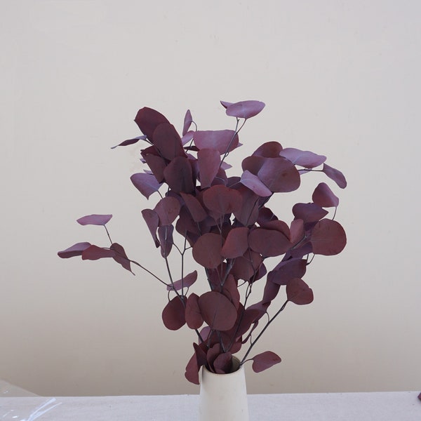 Rust+wine red eucalyptus leaves, permanently preserved eucalyptus leaves, Bohemian wedding decorations, dining table decorations