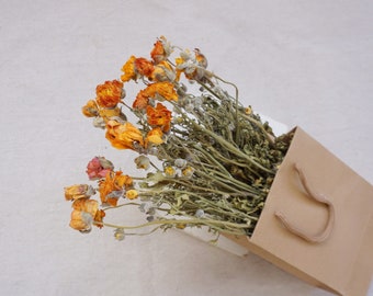 Dried Peony Bunch/Orange, Yellow and Cream, natural dried flower decoration, vase arrangement