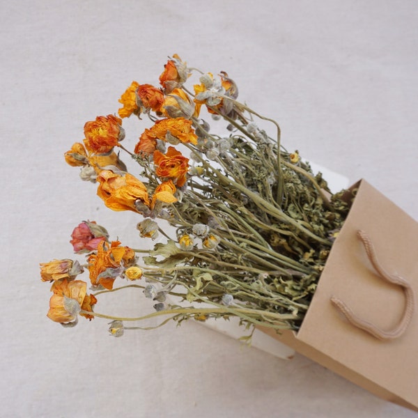 Dried Peony Bunch/Orange, Yellow and Cream, natural dried flower decoration, vase arrangement