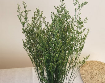 Ramo de ramos de hierba Caspia preservada, ramas de hierba seca verde Salvia japonica, arreglo de flores secas, flores secas de boda