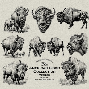 34 American Bison Designs Bundle PNG & SVG Digital For Laser Engraving or Print, Buffalo, Calf, Bison Fighting, Western Scene, Wild West
