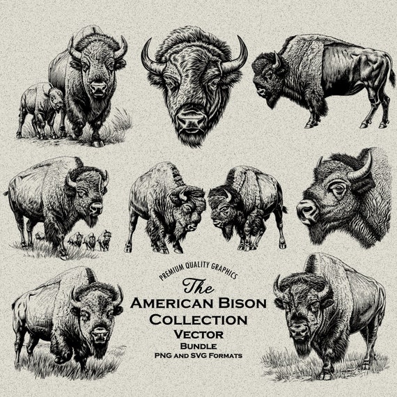 34 American Bison Designs Bundle PNG & SVG Digital for Laser