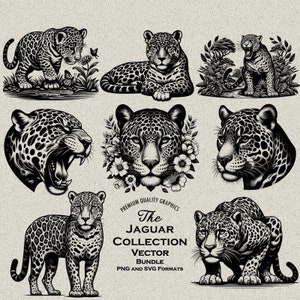 Paquete de 56 diseños detallados de Jaguar PNG y SVG para grabado o impresión láser, cabeza de jaguar, cachorro de jaguar bebé, jaguar feroz gruñendo, saltando