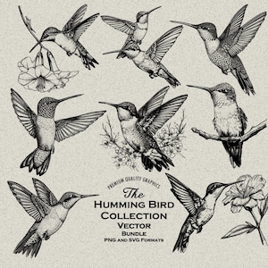 Lot de 36 dessins de colibris PNG & SVG numérique pour gravure ou impression laser, fleurs de colibris, se percher, jardin, fleurs sauvages, voler