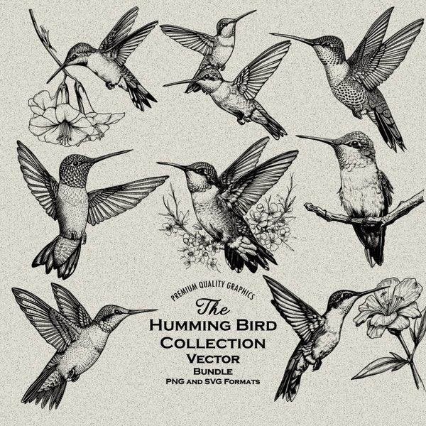 36 Humming Bird Designs Bundle PNG & SVG Digital For Laser Engraving or Print, Humming Bird flowers, Perching, Garden, Wildflower, Flying