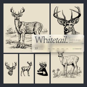 Pode incluir: Uma coleção de ilustrações a preto e branco de veados em várias poses. As imagens incluem corpos inteiros, closes e perfis. O texto "Whitetail" é exibido com as palavras "a modern design pack" abaixo.
