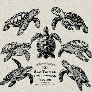34 Sea Turtle Graphics SVG en PNG-bundel: lasergraveur en printklaar, Turtle-bundel, Turtle Svg, nautisch en zeebestand, SeaTurtle png
