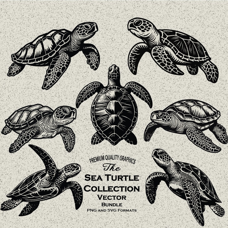 34-sea-turtle-graphics-svg-and-png-bundle-laser-engraver-and-print