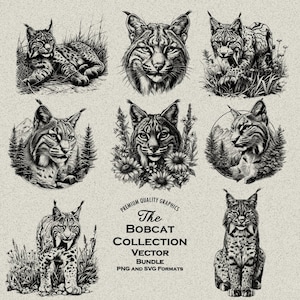 Ensemble de 36 dessins détaillés de lynx roux, lynx, chat sauvage PNG & SVG pour gravure ou impression laser, tête de lynx roux, Nature, western, indigène, montagne