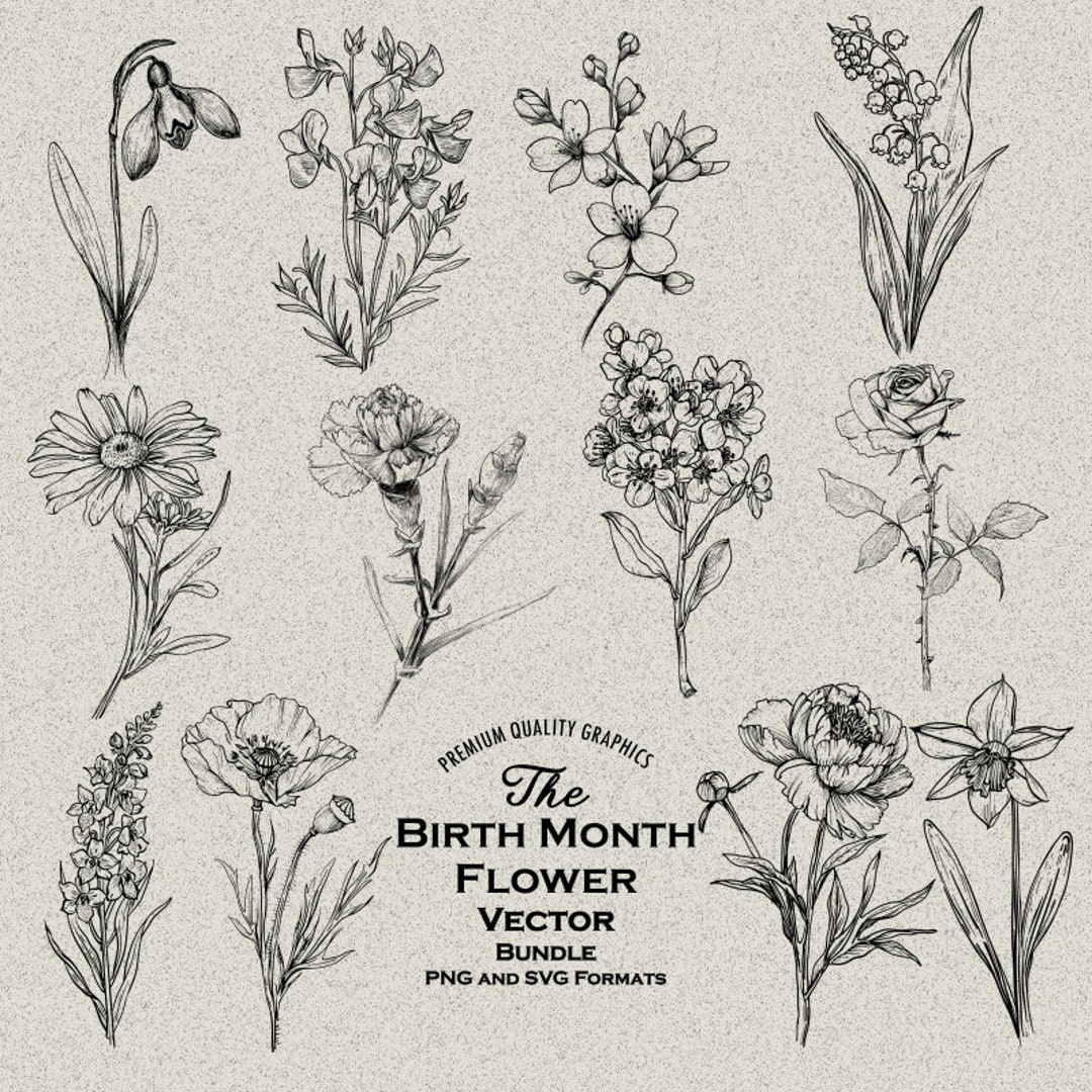 50 Birth Month Flowers Bundle PNG & SVG for Laser Engraving or Print ...