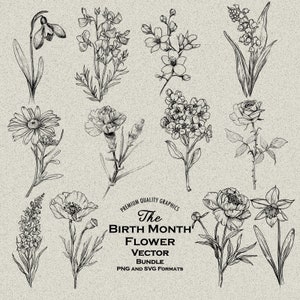 Paquete de 50 flores para el mes de nacimiento en formato PNG y SVG para grabado o impresión láser, plantilla de flores de línea fina, pincel Procreate, tatuaje floral, flor de nacimiento