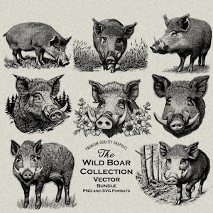 36 Wildschwein Detaillierte Designs Bundle PNG & SVG für Laser Gravur oder Print, Eberkopf, Rasiermesser, Natur, Wildschwein, Western, Ureinwohner, Jagd