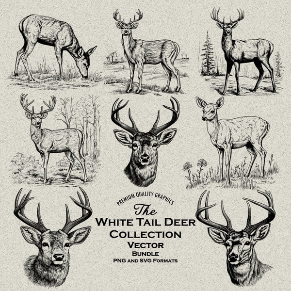 35 White Tail Deer Design Bundle SVG-PNG Detail Designs for Laser Engraving and Print-on-Demand Buck, Doe, Deer Head, Rack, Fawn, Buck Rack