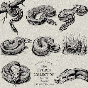 25 Python Designs Bundle PNG & SVG Digital for Laser Engraving or Print ...