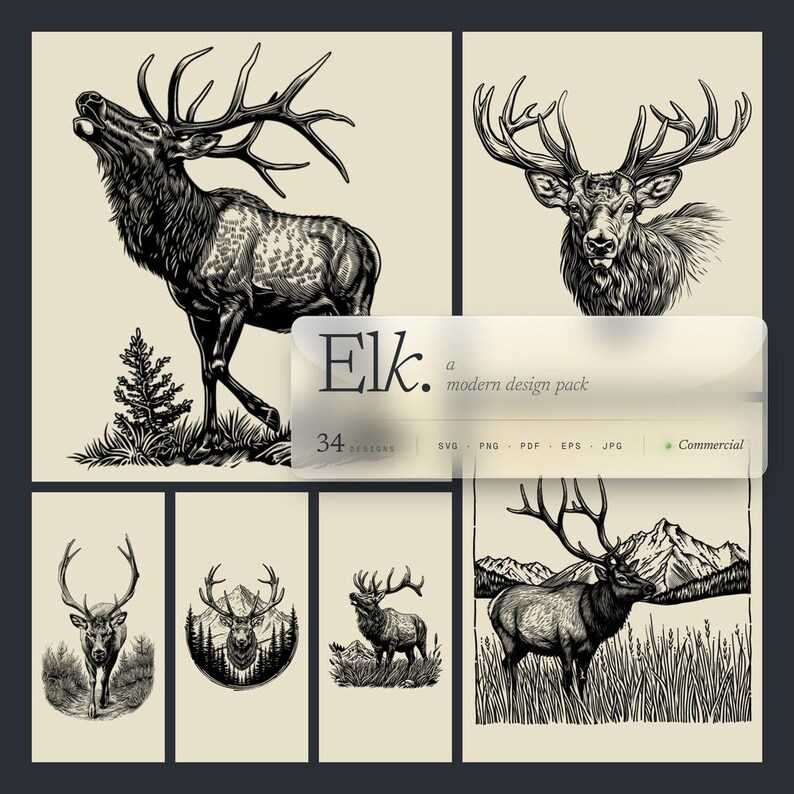 May include: A collection of black and white elk illustrations in various poses, including a roaring elk, a front-facing elk, and elk in natural settings. The images are part of a modern design pack with 34 designs, available in SVG, PNG, PDF, EPS, and JPG formats.