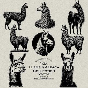 30 Llama and Alpaca Designs Bundle PNG & SVG For Engraving, Print or Cutting: Llama, Funny Llama, Llama Cricut File, Llama Face, Llama head