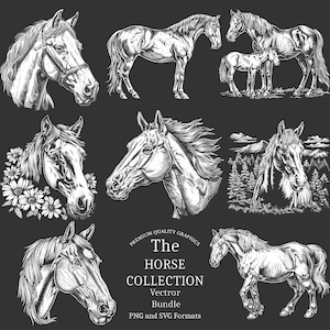 31 motifs de chevaux pour ardoise ou matériaux sombres PNG & SVG téléchargement numérique pour gravure ou impression laser, ferme, fleurs de cheval, western