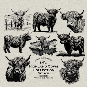 30 Highland Cow Designs Bundel PNG & SVG Digitale download voor lasergravure of print. Harige koe, Highland-koehoofd, Highland-koe op ranch