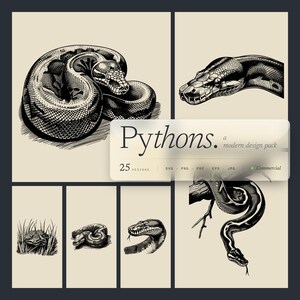 Python Designs Bundle PNG & SVG Digital For Laser Engraving or Print,  Vector, Snake, Boa Constrictor, Ball Python, Serpent, Burmese, CNC