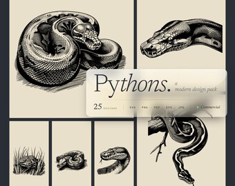 Pakiet projektów Python PNG i SVG do grawerowania laserowego lub drukowania, wektor, wąż, boa dusiciel, pyton królewski, wąż, birmański, CNC