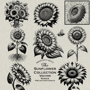 Bundle de 44 tournesols PNG & SVG pour gravure ou impression laser, abeille et tournesol, graines de tournesol, modèles de sous-verres de tournesol, champs de tournesols