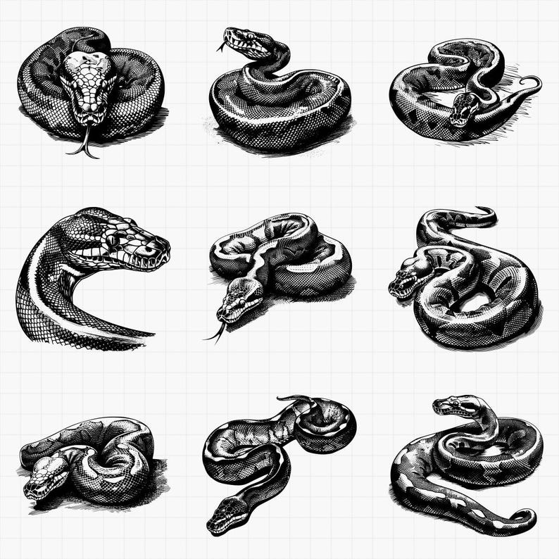 Python Designs Bundle PNG & SVG Digital for Laser Engraving or Print ...