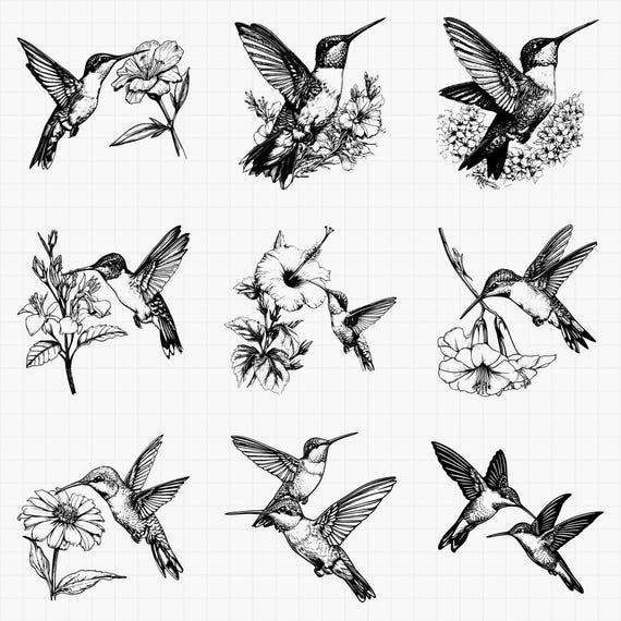 Humming Bird Designs Bundle PNG & SVG Digital for Laser Engraving