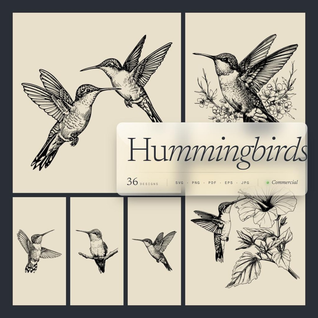 ハミングバードページ Humming Bird Designs Bundle PNG & SVG Digital for Laser Engraving