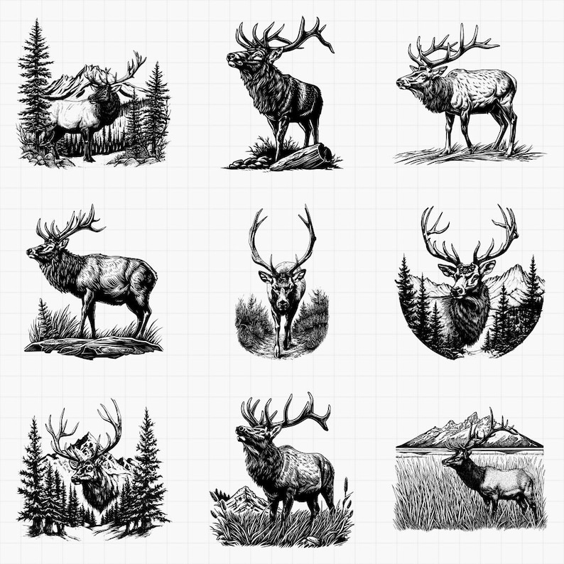 May include: A collection of nine black and white illustrations of elk. The elk are depicted in various poses, some standing, some in a forest setting, and some with mountain backdrops. The illustrations are detailed and artistic.