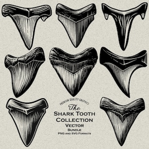Lot de 36 dents de requin numérique PNG et SVG pour gravure laser ou impression. Megalodon, grand blanc, taureau, sable, requin-marteau, paléontologie